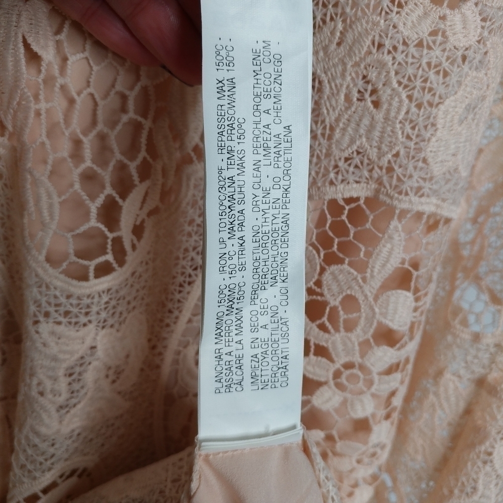 Zara Nude Pink Lace Dress - Picture 14 of 14